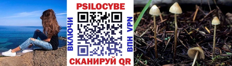 закладки Магас Галлюциногенные грибы ЛСД